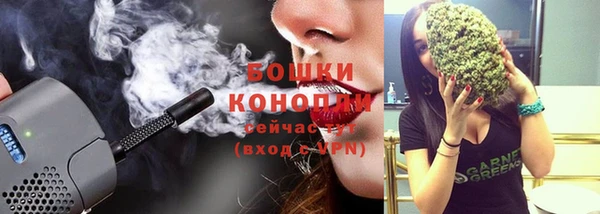 дживик Киренск