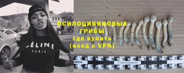 дживик Киренск