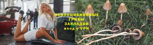 дживик Киренск