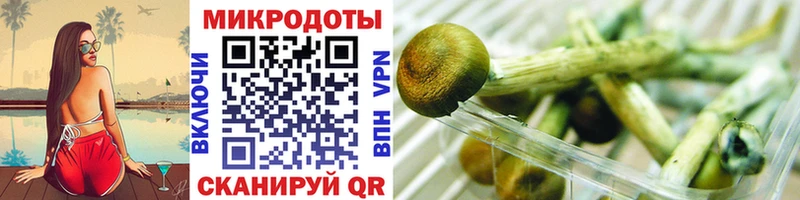 Галлюциногенные грибы MAGIC MUSHROOMS  Купить закладки  Закаменск 